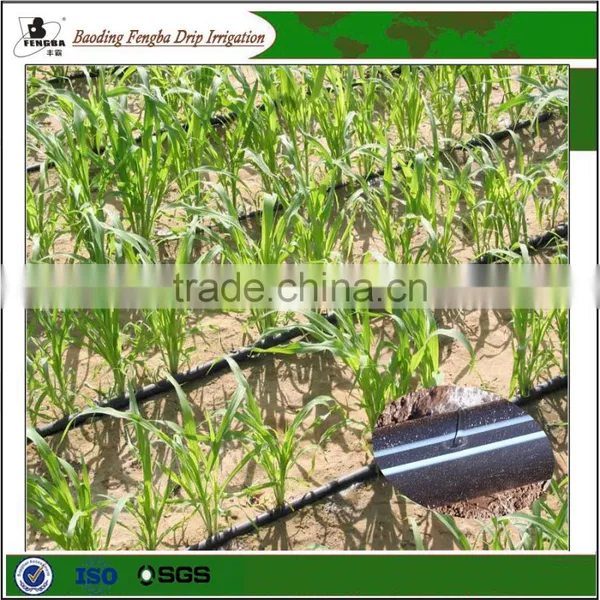 Drip Irrigation Tape With Continuous Drippers photo-2
