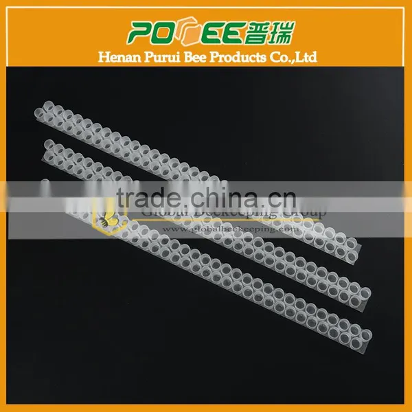 2015 Big Sell Single/double Plastic Queen Cell