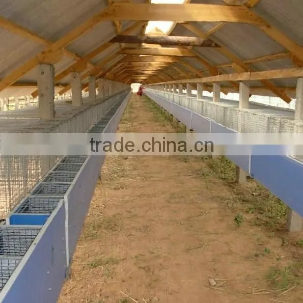 Wire Live Mink Trap Cages photo-2