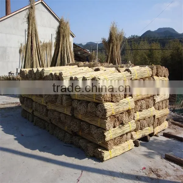 Natural Factory Moso Bamboo Poles Sale photo-6