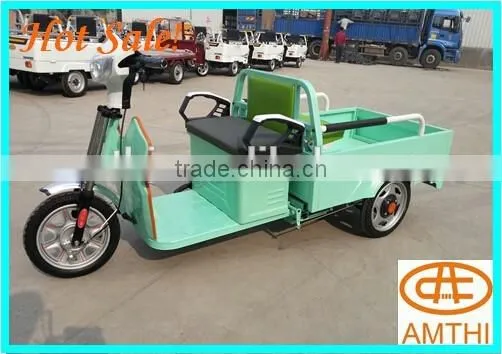 Cargo Rickshaw, Electric Rickshaw, e Rickshaw photo-3