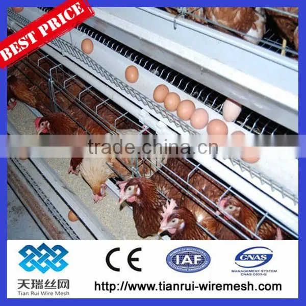Chicken Cages/layer Chicken Cage