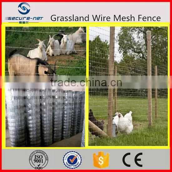 Fixed Knot/hinge Joint Fence Machine for Field/farmland photo-6