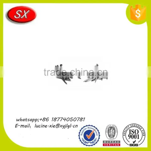 Customized Galvanized Hardened Steel/iron Concrete Nail With High Quality photo-2