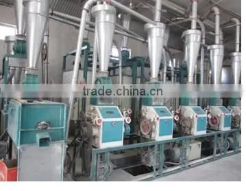 Factory Manufacturing 20TPD Wheat Flour Mill Price photo-4