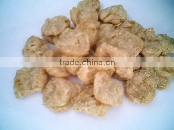 Wholesale Hotsale Hot Sale Extruded Soya Protein Machinery photo-4