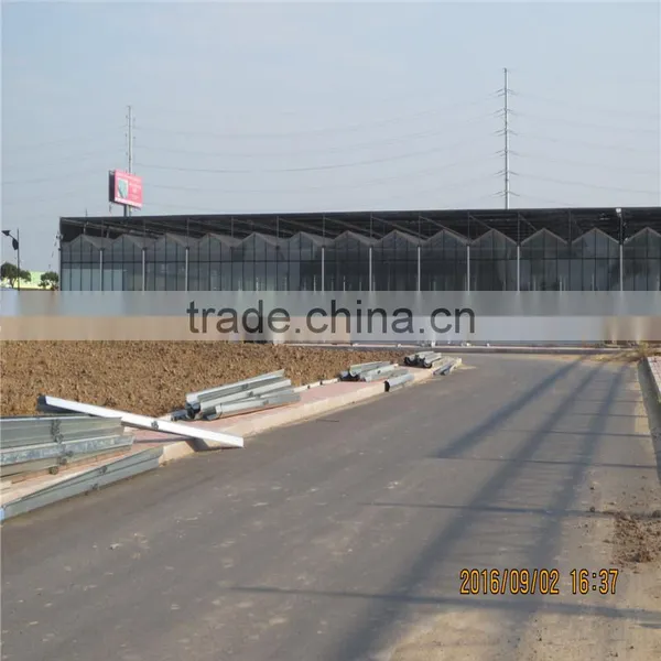 Anti Insect Net Greenhouse for Agriculture Use photo-3