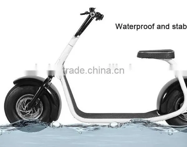 Cool Citycoco Scooter 1000W Brushless/Popular Electric Scooter 800W/ 2Wheels Scooter/City Mobility Scooter 800W (TKE-S800) photo-5