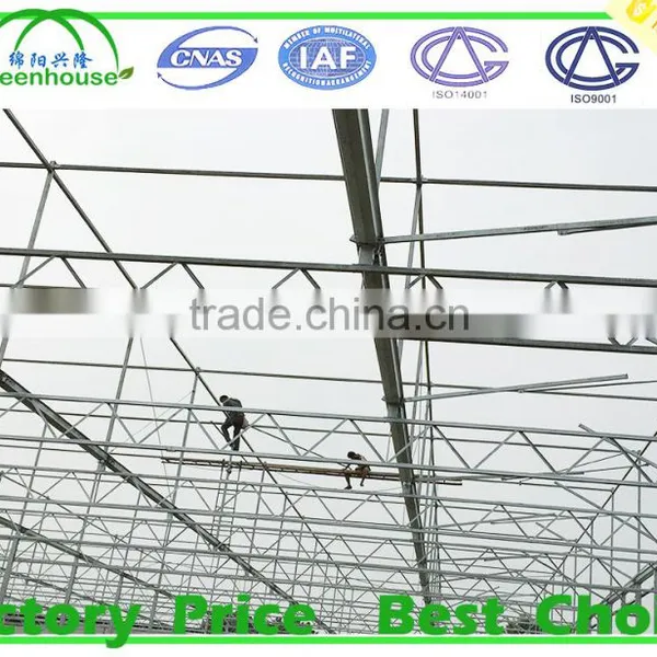 Glass-to-ground Greenhouse, Glass House photo-3