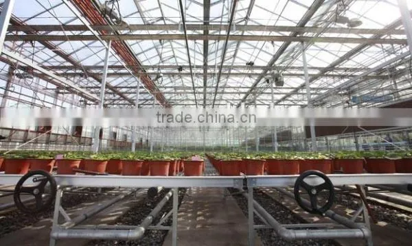 Hydroponic Growing Greenhouse photo-5