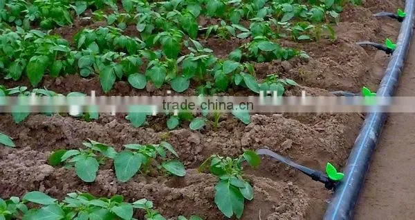 PE Irrigation Pipe ,drip Pipe for Agriculture Irrigation photo-5
