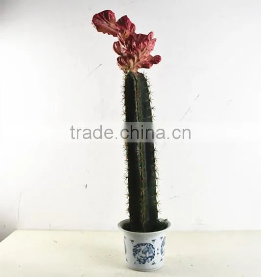 SJ3001101 Artificial Cactus Plant/cheap Artificial Plants/red Cactus Plant photo-3