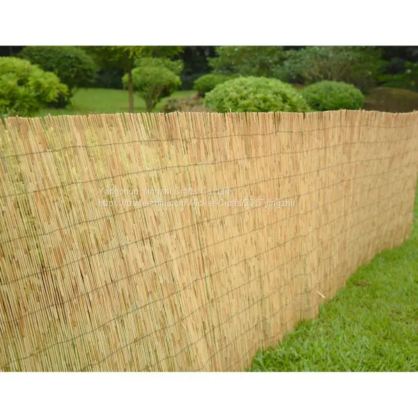 Factory Prcie White Fern Screen Fence for Garden photo-3