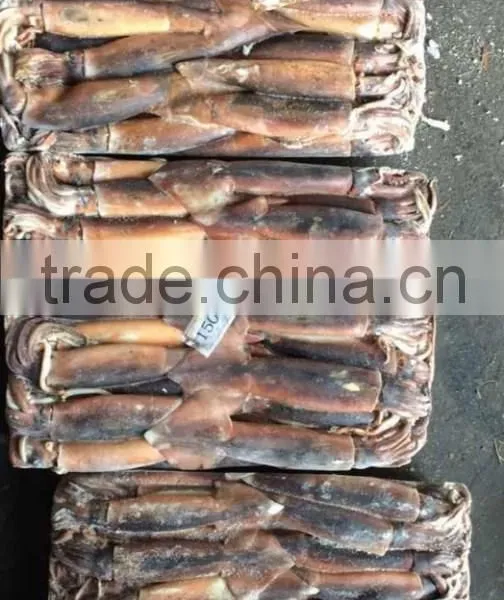 Health Food Frozen Illex Squid With High Nutritious Value photo-3