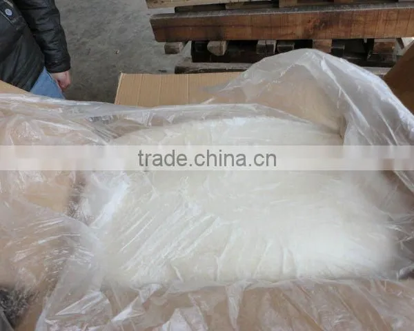 Frozen Gaint Squid Fillet photo-2