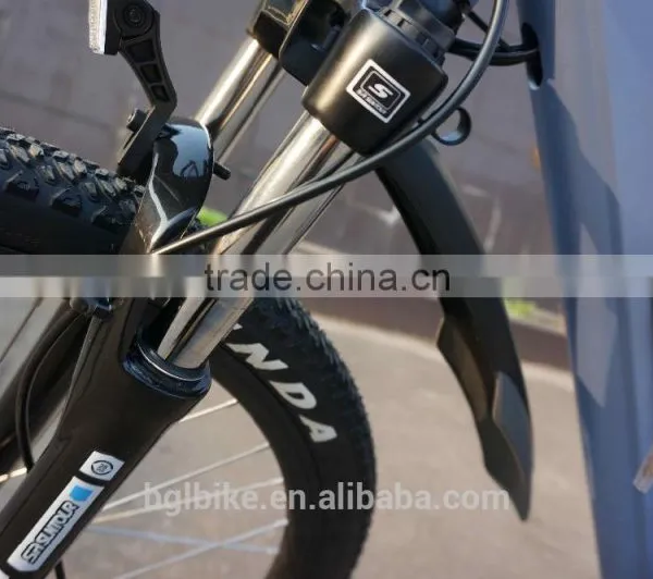 HIgh Quality Lithium Battery Power Supply and No Foldable Eletric Mountain Bike photo-6
