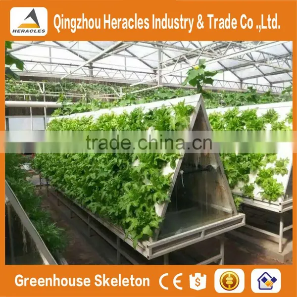 Agricultural Greenhouses For Soilless Hydroponics / Nft Systems For Tropical And Desert Areas photo-6