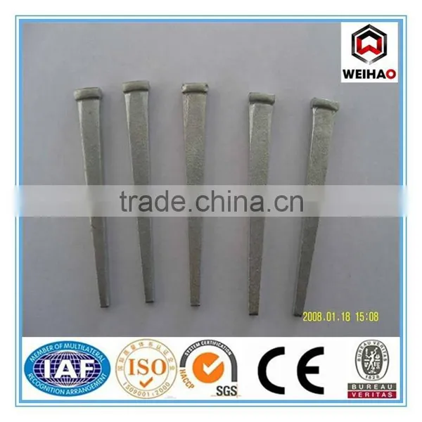 Factory Masonry Cut Nail photo-2
