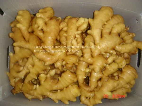 Chinese air dry ginger air dreid ginger dry ginger