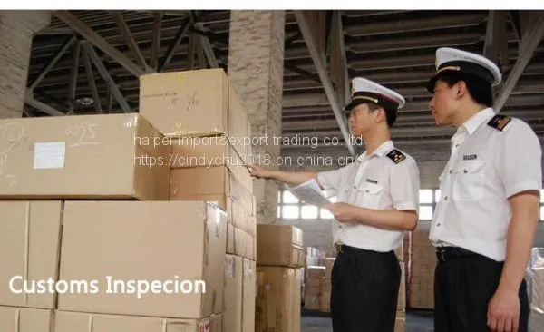 Professional customs clearance service agent