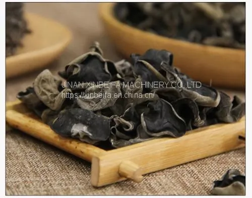 Fungus Drying Machine photo-4