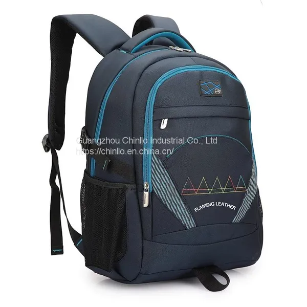 Wholesale OEM Leisure Business Backpacks Large Capacity Schoolbag Laptop Bag Travel Knapsack Nylon Promotion CLGZ18-265 photo-4
