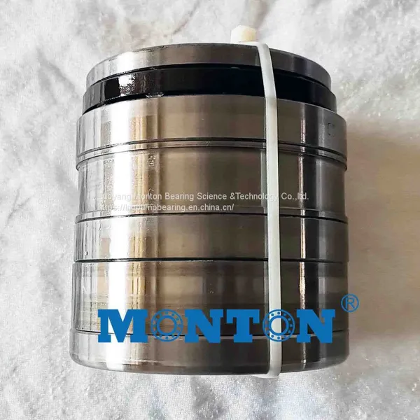 F-86698.T4AR Tandem Bearings for Extruder Gearboxes photo-4