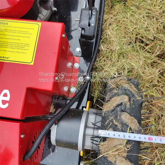 Weed Trimmer China Manufacturer Factory Supplier Wholesaler photo-5