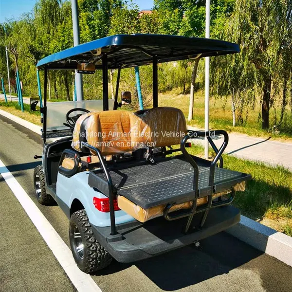 2024 New Luxury Electric Golf Cart photo-4