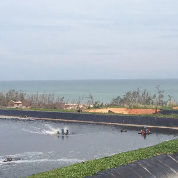 White Shrimp Aquaculture Anti-seepage Measures 8 Meters Wide, 420 Meters Long, and 0.5mm Thick HDPE Geotextile Film photo-2
