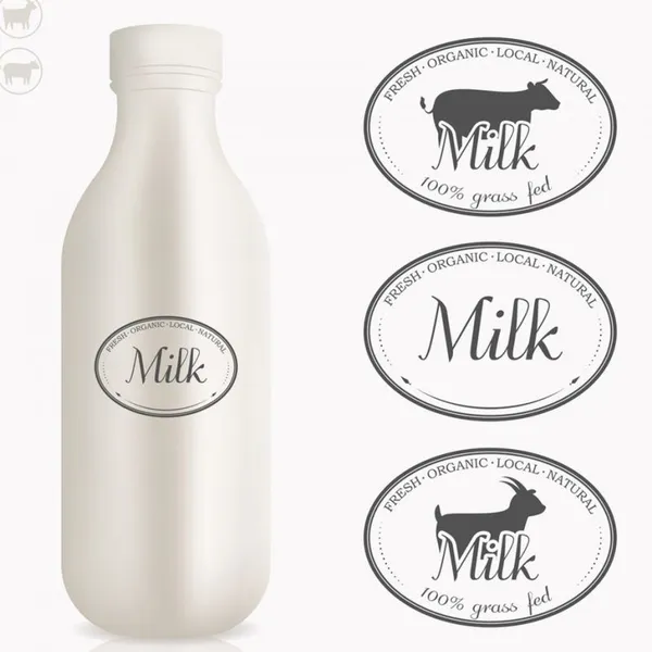 Mini Dairy Machine Pasteurized Milk Yogurt Fermentation Equipment/ Small Milk Pasteurization Sterilization Processing Line Plant photo-3