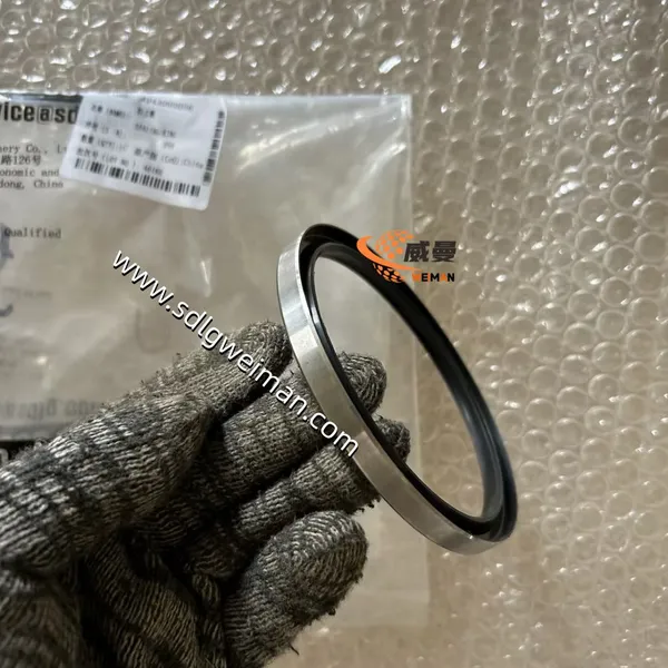 4043000056 Seal Ring photo-4
