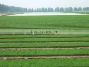 China Non-woven Frost Protection Fleece