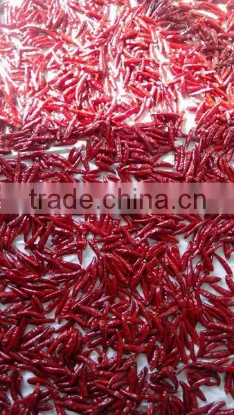 Spice Hurb Factory Price Dry Hot Red Chili Chinese Chaotian Chili Stem or Stemless photo-2
