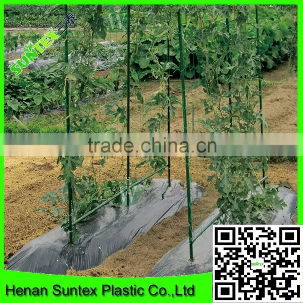 Strong Durable Trellis Netting Polyester Plant Support Net Mesh Grow Room Net photo-5
