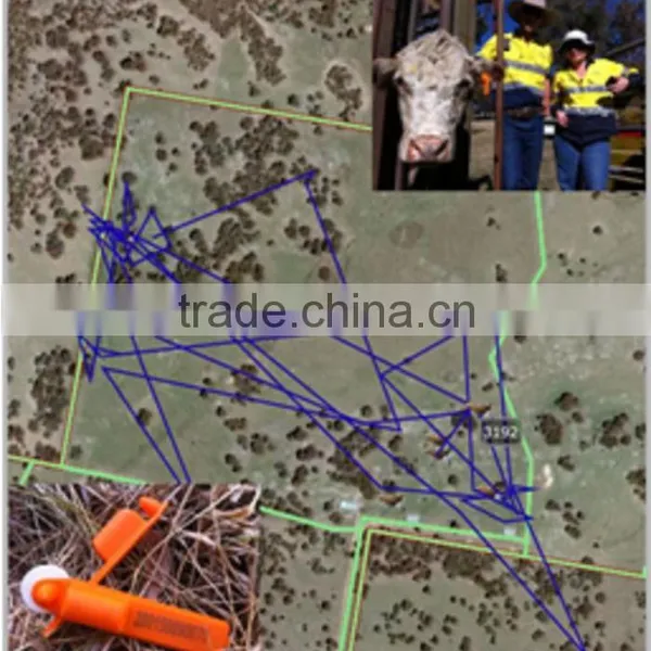 Cattle GPS Tracking With GEO-Fence ,MT-60,with Central Database photo-2