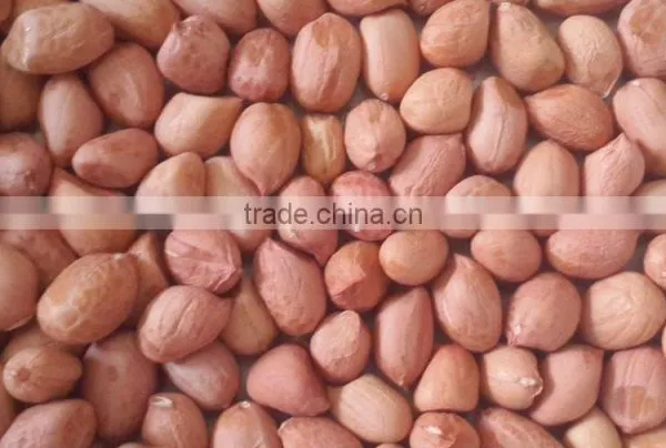 Blanched Peanut