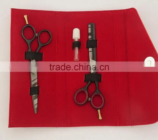 Salon Scissors Kit