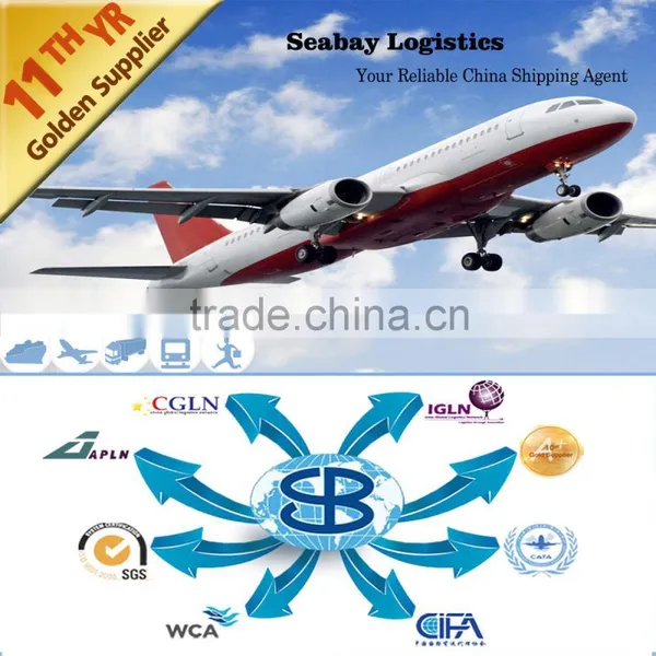 Professional Cargo Shipping Agency to Singapore photo-4