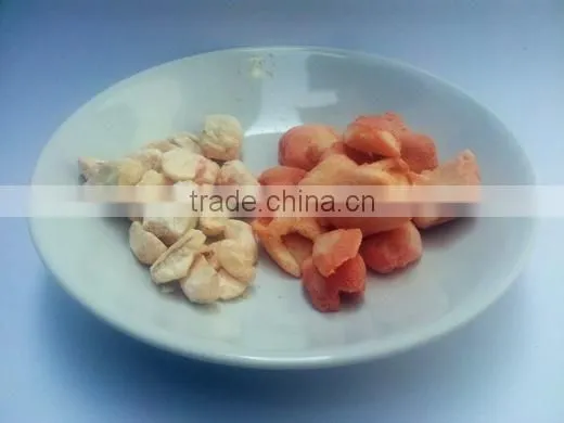 Freeze Dried Durian photo-3