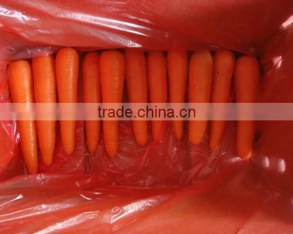 Fresh Carrots