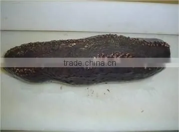 Sea Cucumber Whole Frozen