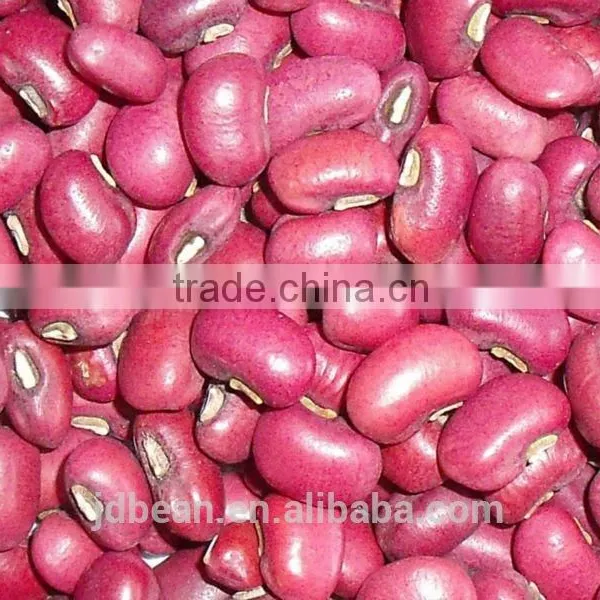 Crop 2015 New Crop Red Cowpea Beans photo-3