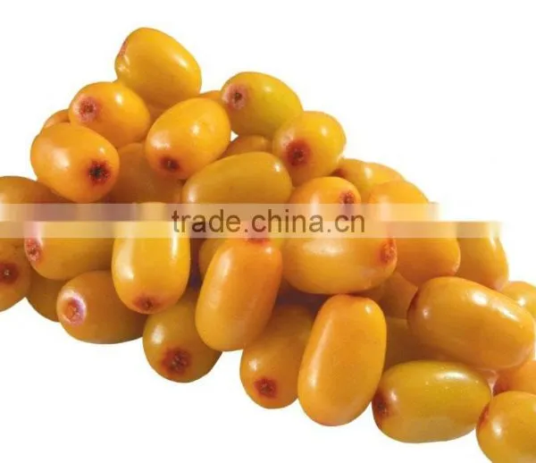 Certificated Seabuckthorn Berry Oil photo-3