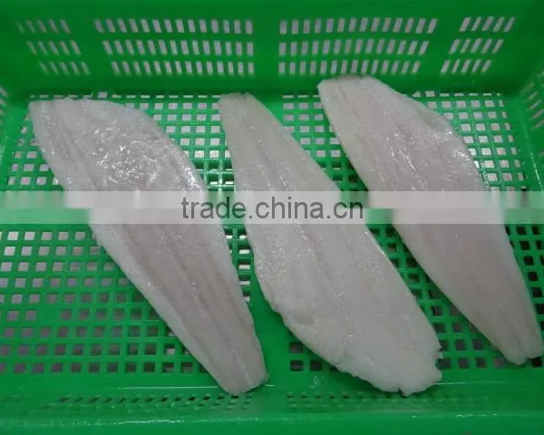 Wholesale Frozen Greenland Halibut Fish Fillet photo-2