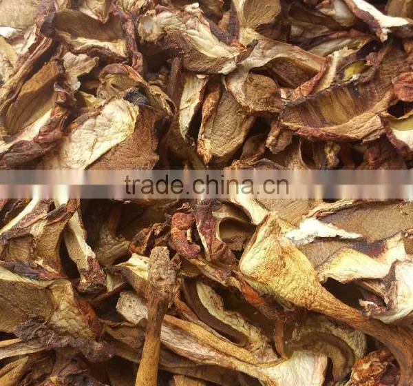 Delicious Dried Yellow Boletus Price photo-4
