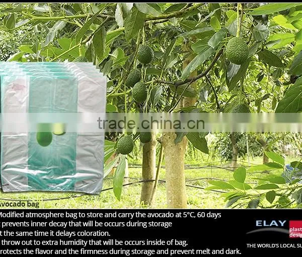 Pineapple Bag photo-4