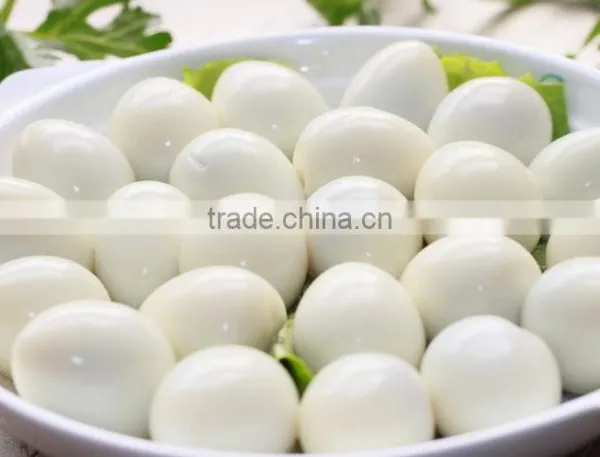 High Quality 50kg/h, 100kg/h,150kg/h, 250KG/H New Design Quail Egg Peeler Machine photo-4