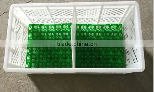 PE Chicken Egg Tray for 30 Eggs photo-2
