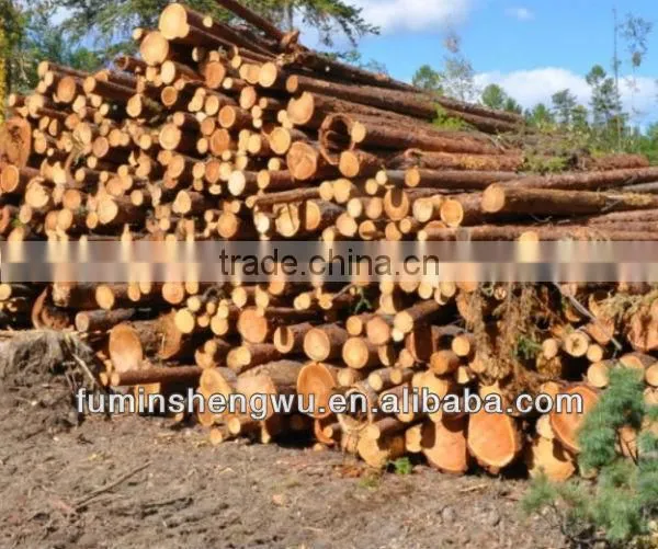 Professional Wood Waste Crusher Machine photo-3